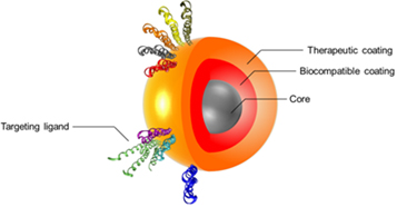 Figure 1 SPION