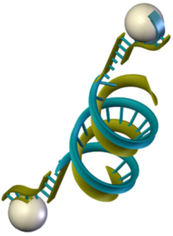 Figure 3 DuFlexx