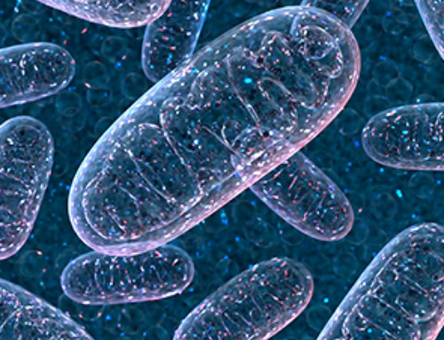 Can our mitochondria help to beat long Covid?