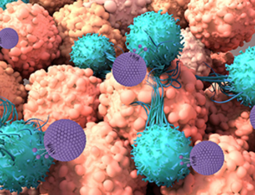 Novel design for nanoparticles that train immune cells into fighting cancer