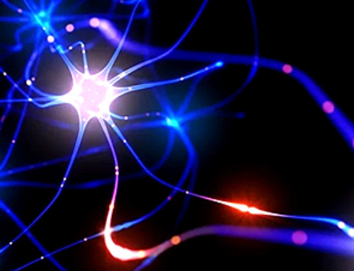 Dissolvable Optical Switches Control Neurons With Light