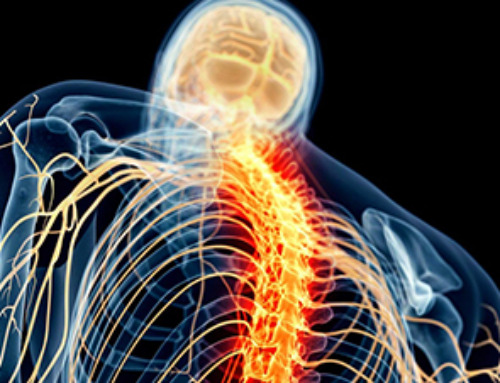 3D-printed implant offers a potential new route to repair spinal cord injuries