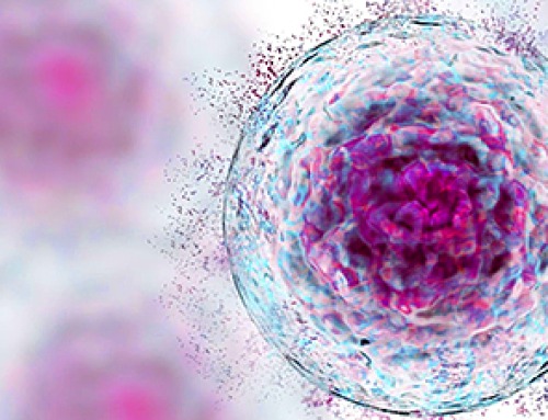 Aging Cells May Be Hiding From the Immune System – Scientists Think They Know How