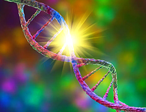 DREAM complex could hold key to fighting cancer and living longer