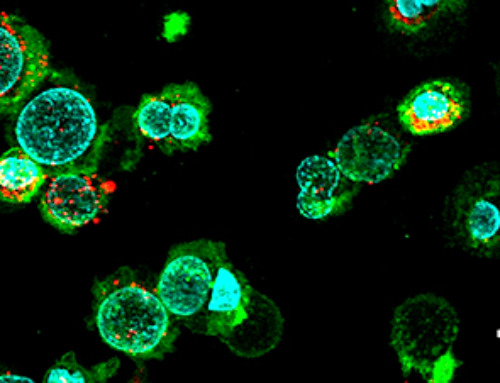 New production process for therapeutic nanovesicles