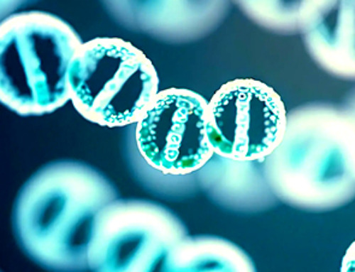 Stanford Medicine Reveals: Tiny DNA Circles Defying Genetic Laws Drive Cancer Formation
