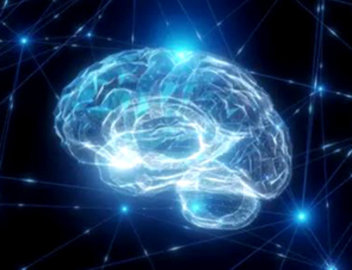 Researchers Discover New Mnemomic Networks in the Brain