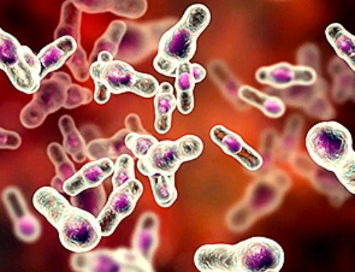The Surprising Origin of a Deadly Hospital Infection
