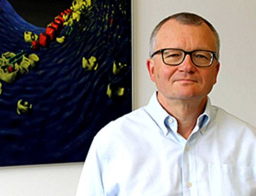New study on the genetic magnetization of living bacteria shows great potential for biomedicine