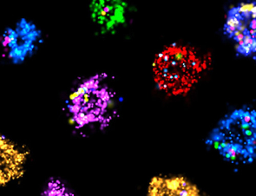 FedEx for your cells: this biological delivery service could treat disease