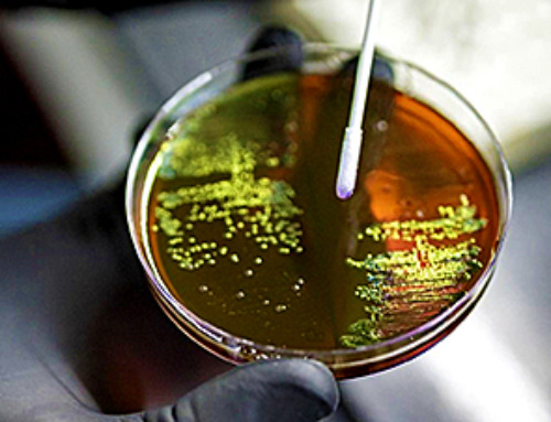 Antimicrobial Resistance – A Global Concern
