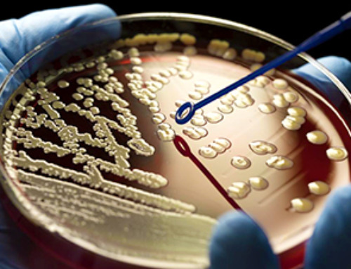 Combined treatment using lipid nanoparticles against antibiotic resistant bacteria