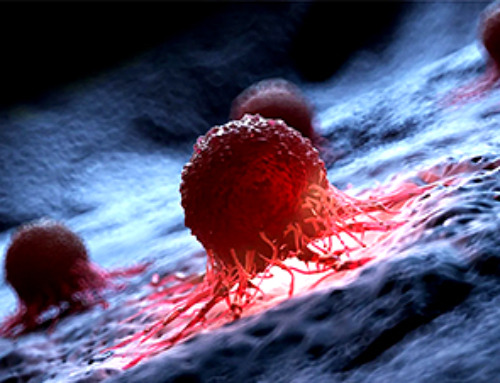 “Challenging the Paradigm” – Scientists Develop New Approach To Stop Cancer Growth