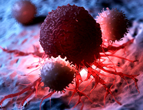 Kill A Cell Exposing tumours to bacteria converts immune cells to cancer killers ...