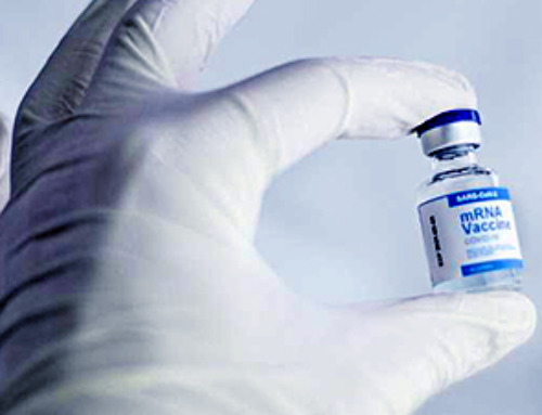 ‘Stealthy’ lipid nanoparticles give mRNA vaccines a makeover