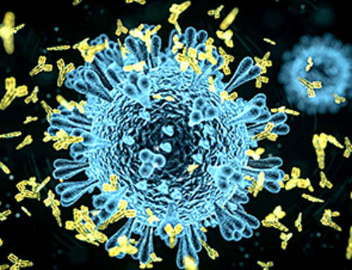Previously Unknown Rogue Immune Key to Chronic Viral Infections Discovered