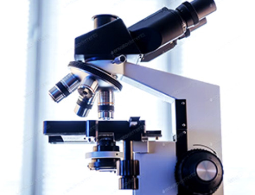 Differentiating cancerous and healthy cells through motion analysis