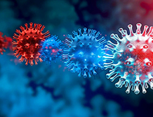 A new, highly mutated COVID variant called ‘Cicada’ is spreading in the US.