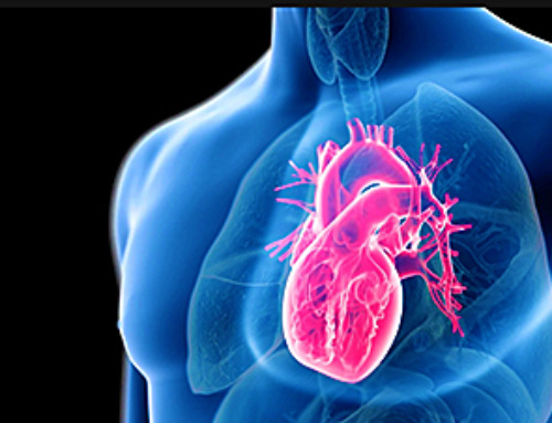 Scientists Say This Simple Supplement May Actually Reverse Heart Disease