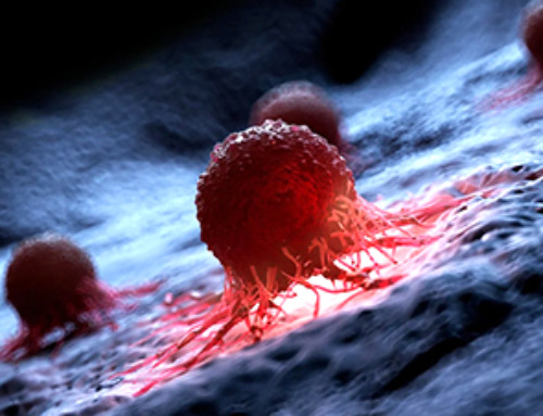 Cancer Mystery Solved: Scientists Discover How Melanoma Becomes “Immortal”