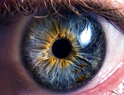 Breakthrough Drug Restores Vision: Researchers Successfully Reverse Retinal Damage