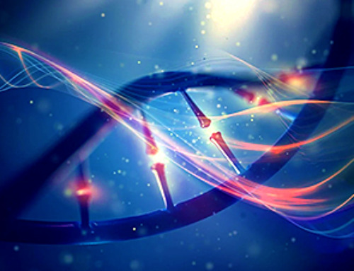 Our DNA May Evolve Much Faster Than Previously Thought