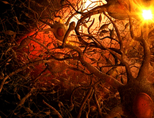 How Brain Cells Talk: Inside the Complex Language of the Human Mind
