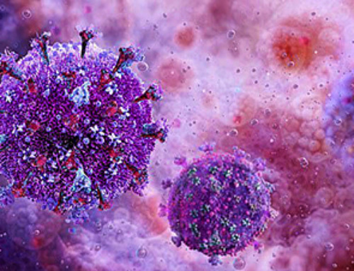 Virus which ’causes multiple organ failure’ found at popular Spanish holiday destination
