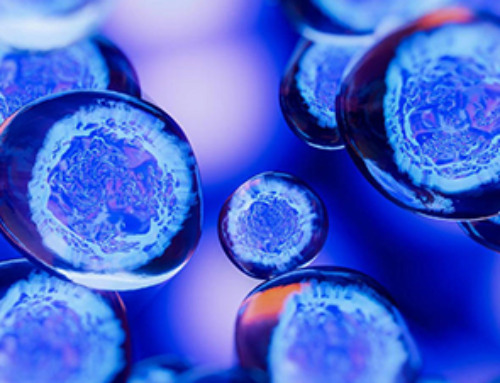 Scientists discover single cell creatures can learn new behaviours