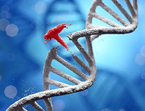 Prime Editing: The Next Frontier in Genetic Medicine