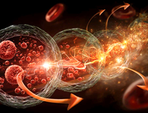 Aging Spreads Through the Bloodstream