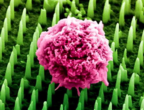 Nanoneedle patch offers painless alternative to traditional cancer biopsies