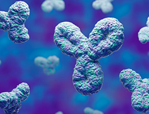 Specially engineered antibody delivers RNA therapy to treatment-resistant tumors
