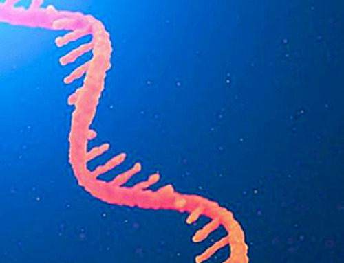Old chemistry unlocks safer and stronger mRNA delivery