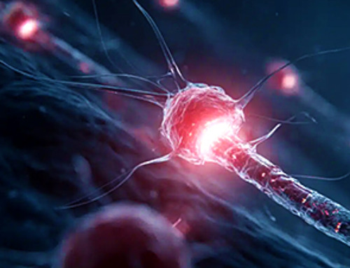 Drug-Coated Neural Implants Reduce Immune Rejection