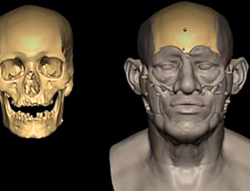 Scientists Discover 20 Percent of Human DNA Comes from a Mysterious Ancestor