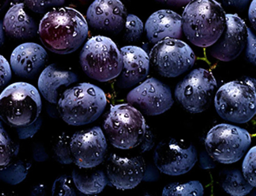 New Study Reveals This Popular Fruit Is Actually a “Superfood”