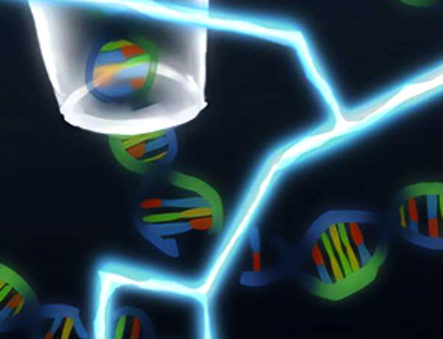 Nanopore technique for measuring DNA damage could improve cancer therapy and radiological emergency response