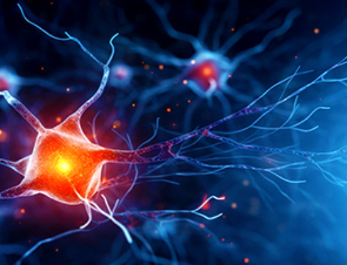Overworked Brain Cells May Hold the Key to Parkinson’s