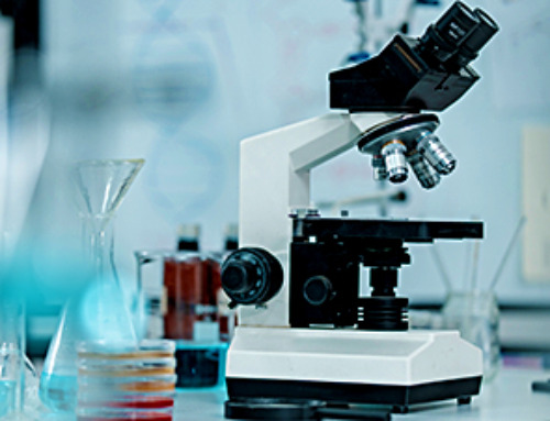 Unlocking hidden soil microbes for new antibiotics