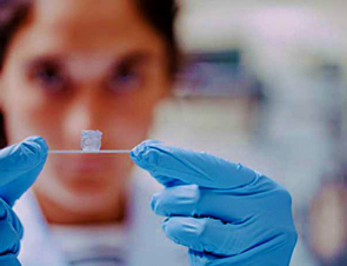 3D bioprinting advances enable creation of artificial blood vessels with layered structures