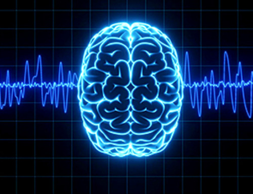 Yale Scientists Solve a Century-Old Brain Wave Mystery