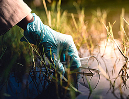 World’s Rivers “Overdosing” on Human Antibiotics, Study Finds