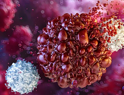 Study Delivers Cancer Drugs Directly to the Tumor Nucleus