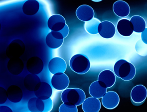 Nanoplastics with environmental coatings can sneak past the skin’s defenses