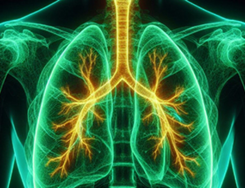 CT scan changes over one year predict outcomes in fibrotic lung disease