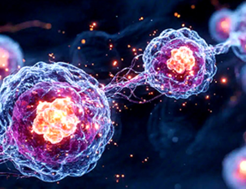 Tiny Fat Messengers May Link Obesity to Alzheimer’s Plaque Buildup