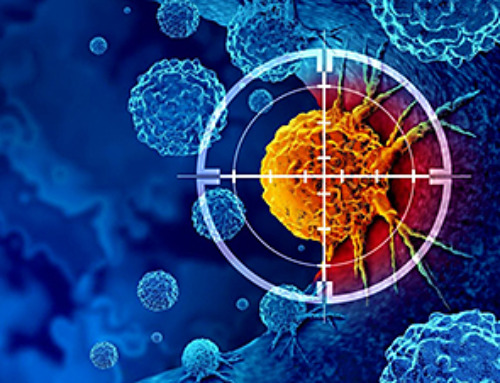 Reviving Exhausted T Cells Sparks Powerful Cancer Tumor Elimination