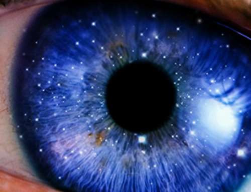 Scientists Identify the Evolutionary “Purpose” of Consciousness