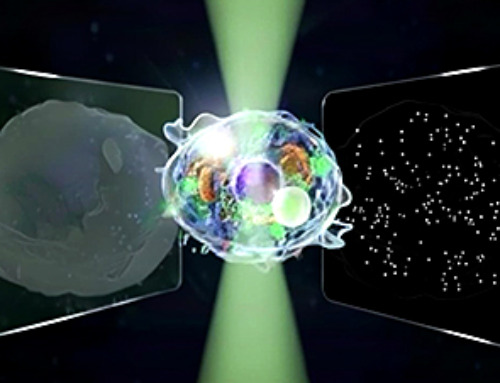 “Great Unified Microscope” Reveals Hidden Micro and Nano Worlds Inside Living Cells